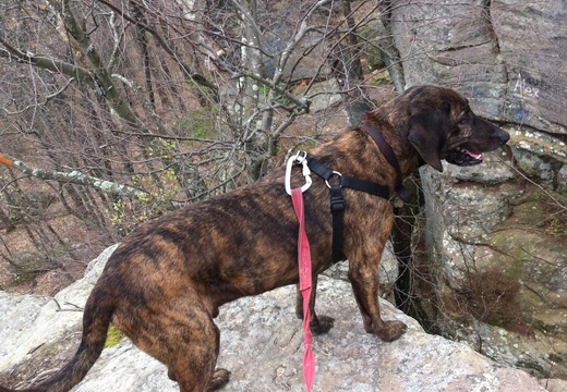 Lockegee Rock and Cave Run Lake